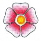 Flor